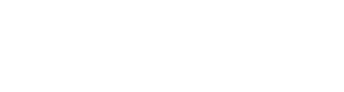 logo light