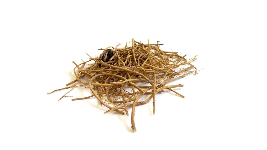 Organic iramusu roots for Sinhala herbal medicine
